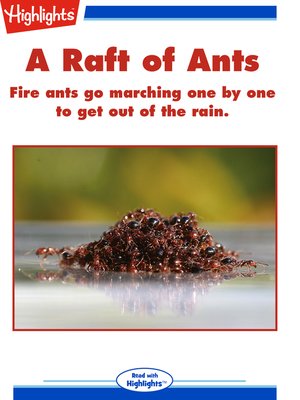cover image of A Raft of Ants